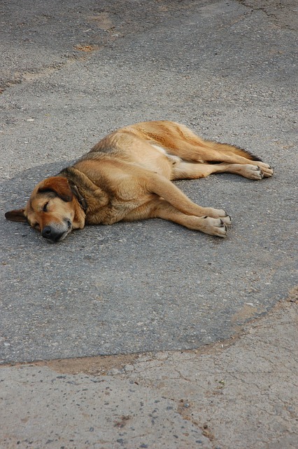 The secret to living longer revealed: its surprising link to sleep.