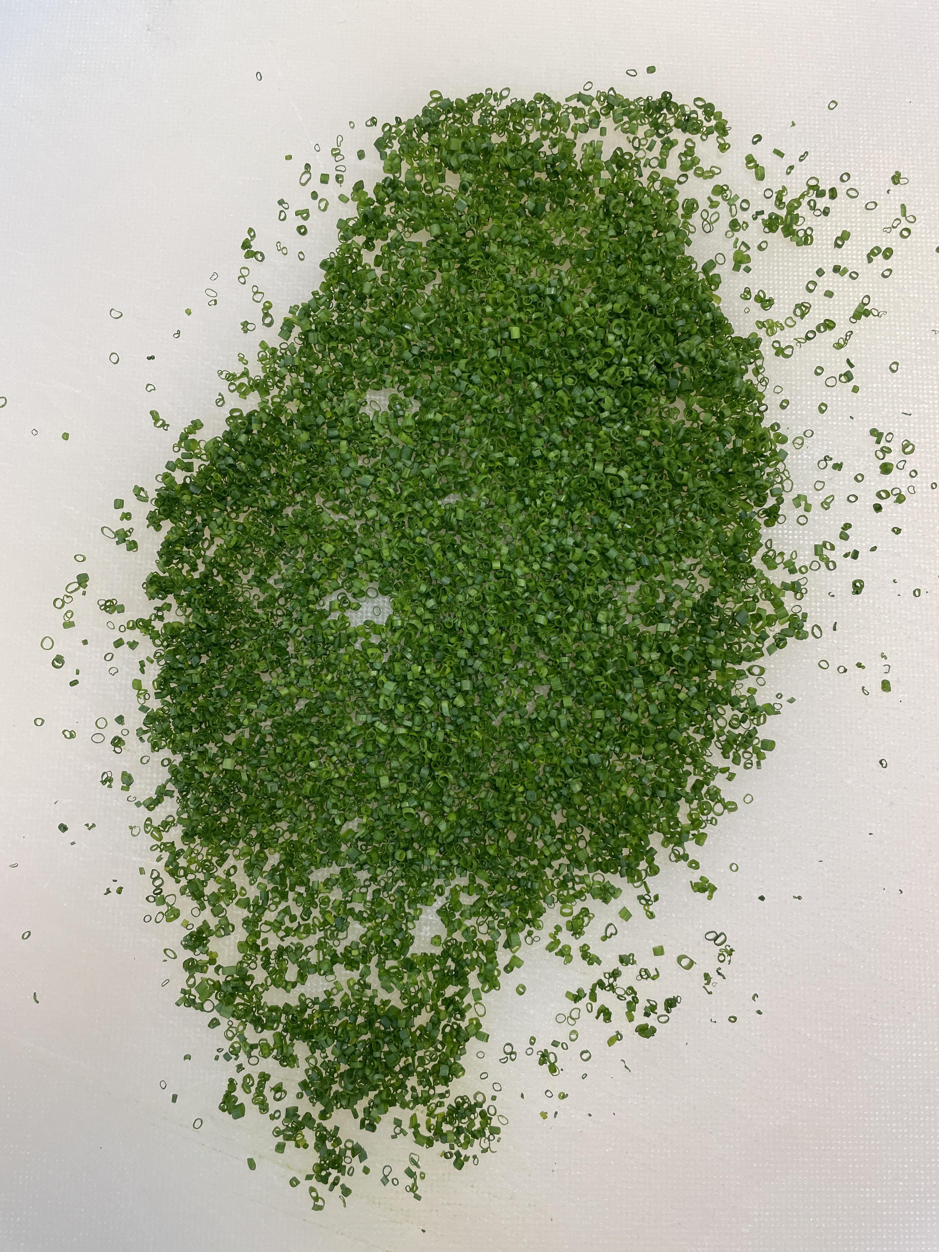 chives are getting ridiculously good with daily care