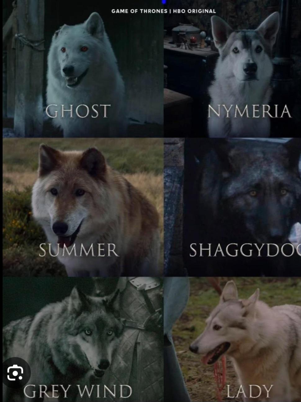 What's the difference between dire wolves and regular wolves