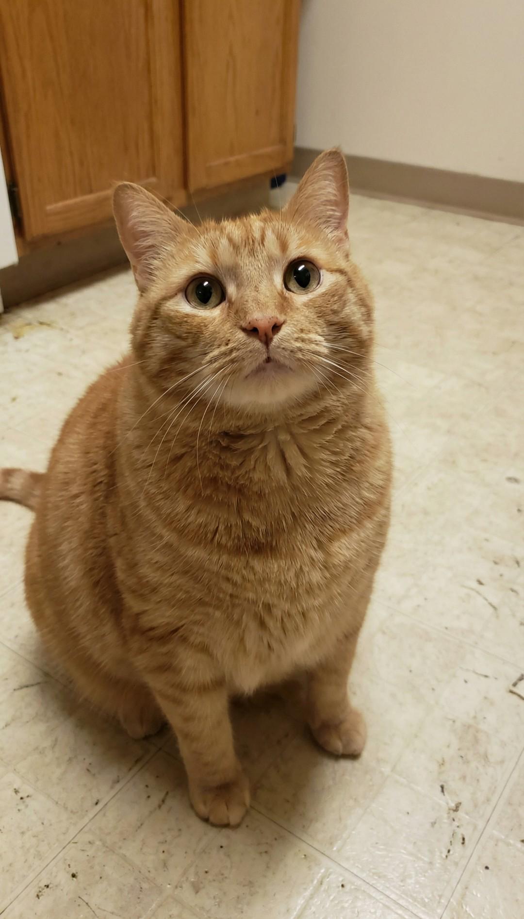 You won't believe who Gerald really is