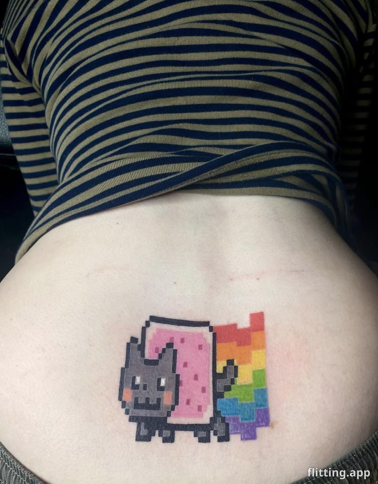 nyan cat shows off tramp stamps in northern colorado