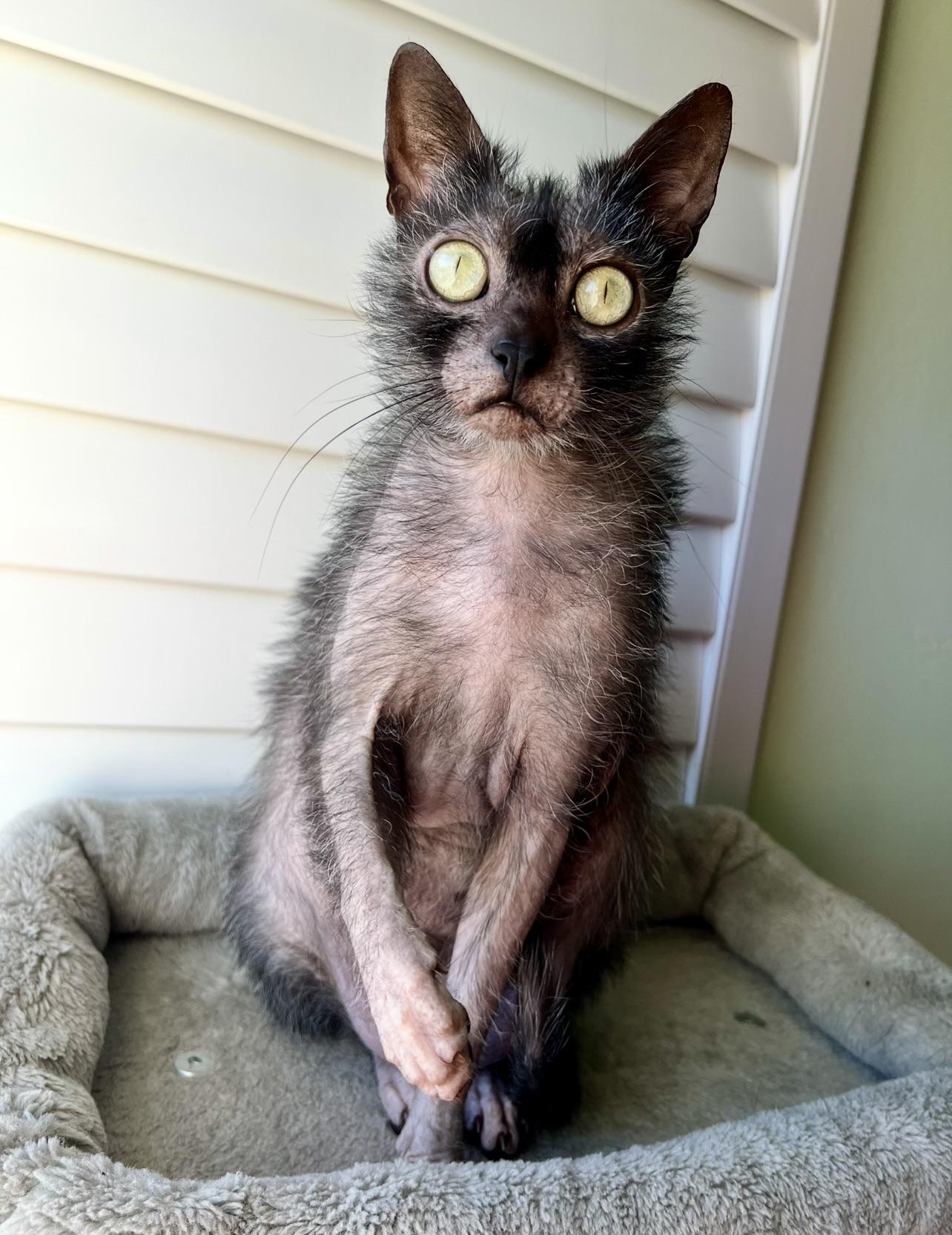 I'm starving can anyone spare a snack