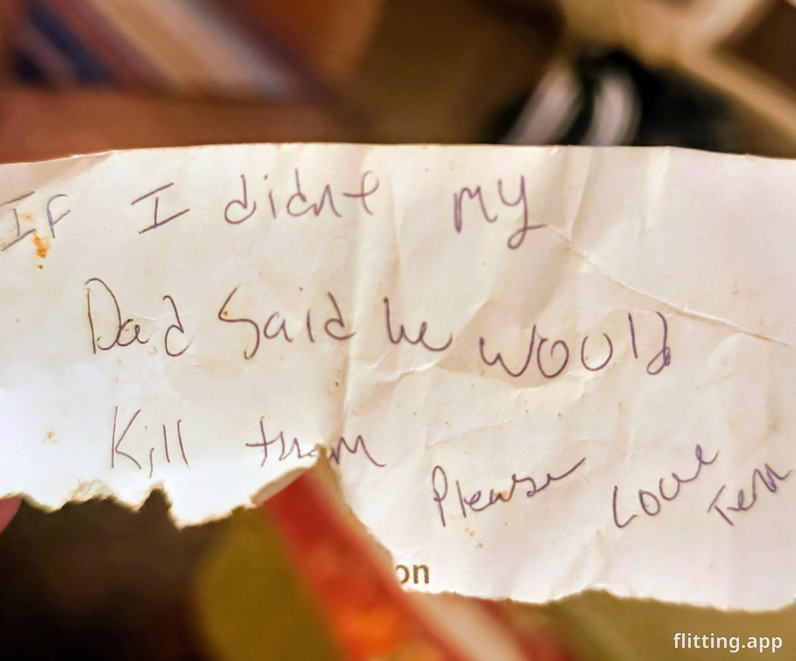 found adorable note tucked away inside three mischievous kittens