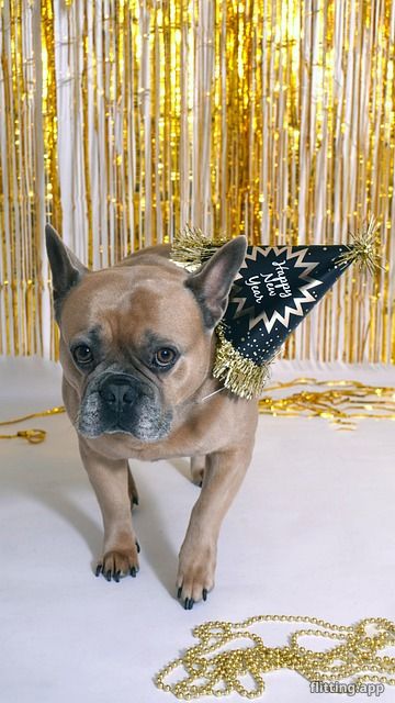 timothée chalamet and kylie jenner spotted stylishly at martys supreme premiere