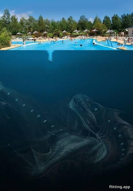 I just got assigned an SCP project what is it all about