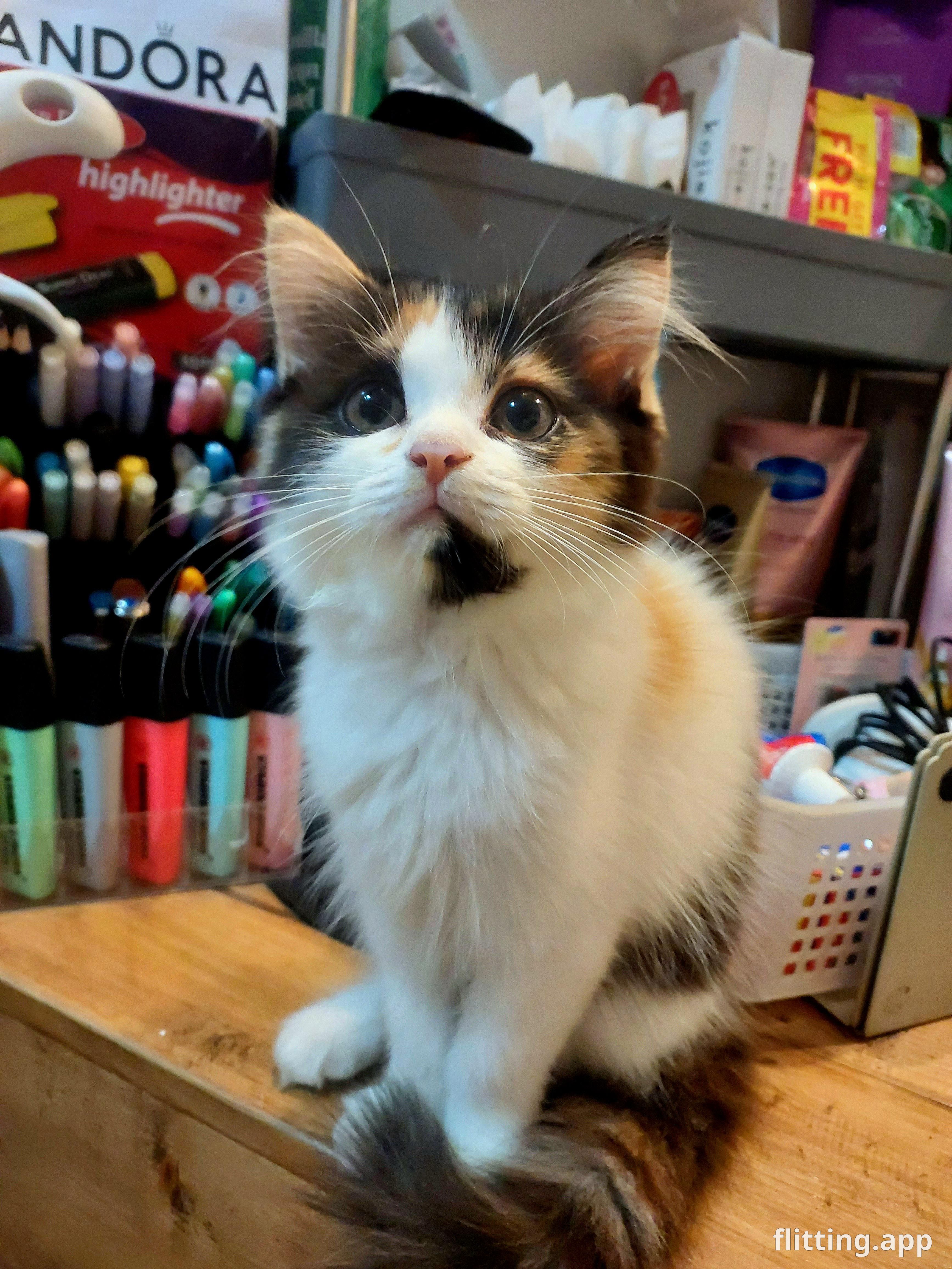 My cutie has no idea I'm secretly judging them