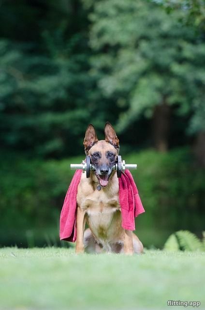 Durins learn a new trick