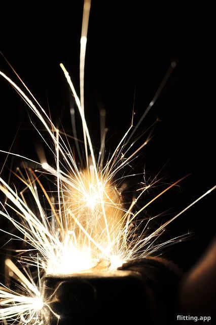 I just landed my very first real job