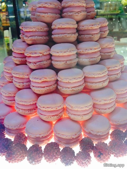 brigitte macron called feminists stupid in embarrassing leaked audio