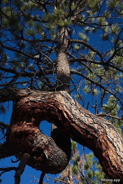 Epstein grand jury transcripts are finally being released