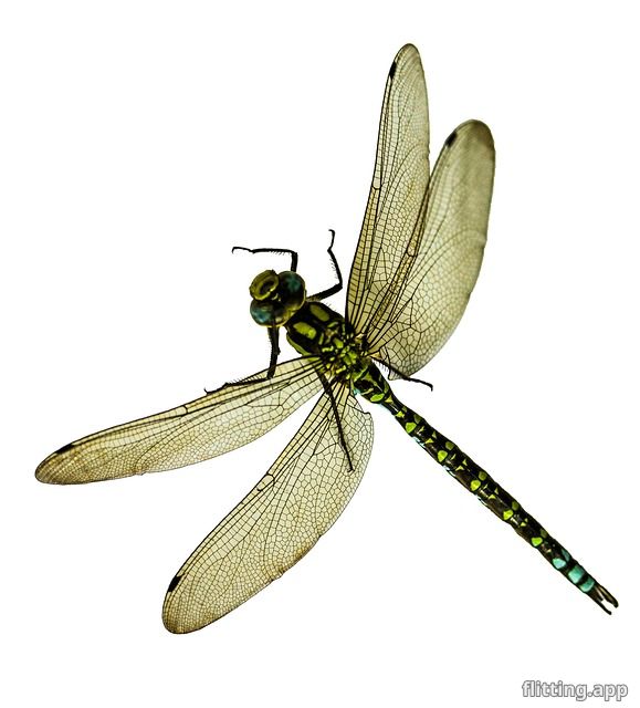 Half Life Xen release date revealed