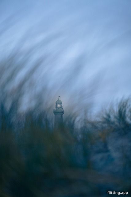 What's growing off the coast near Bavaro?