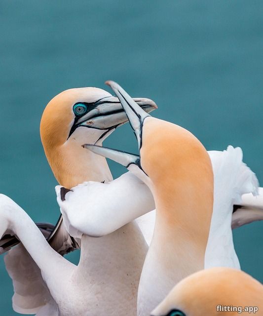 Phone call continues tiff between Tiff and Eve