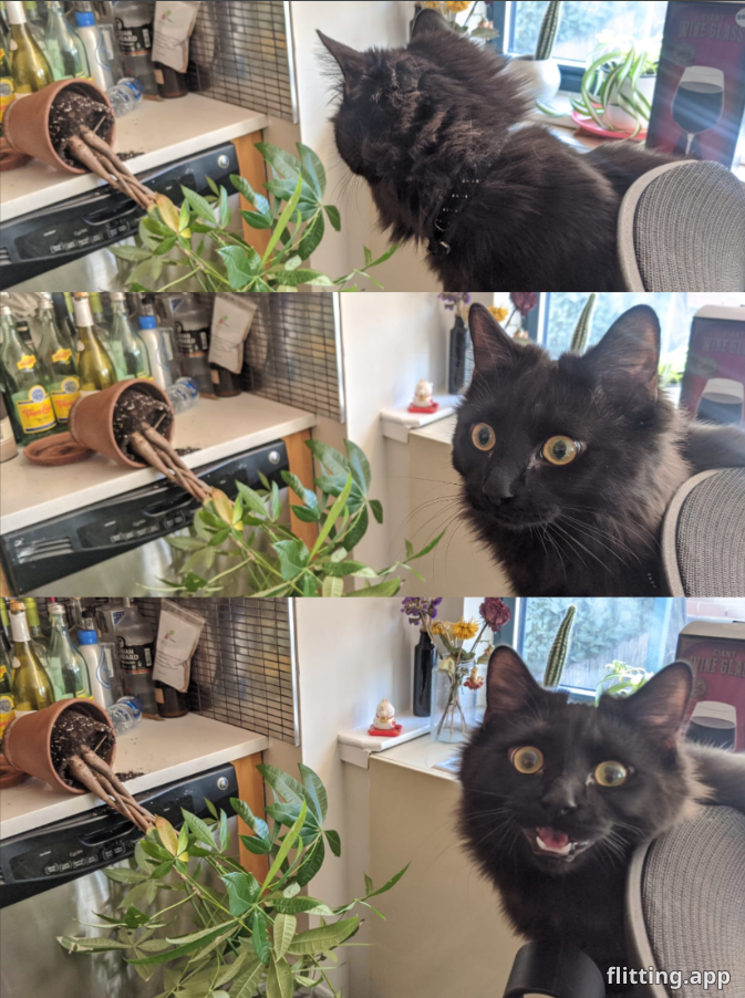 I'd totally do that all over again