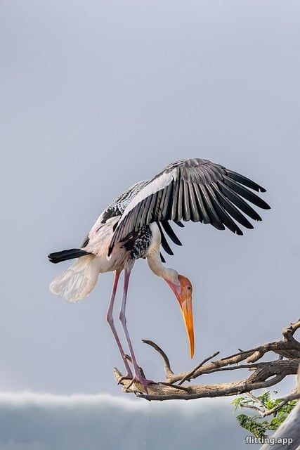 Microsoft is making a big bet on India with a $17.5 billion investment