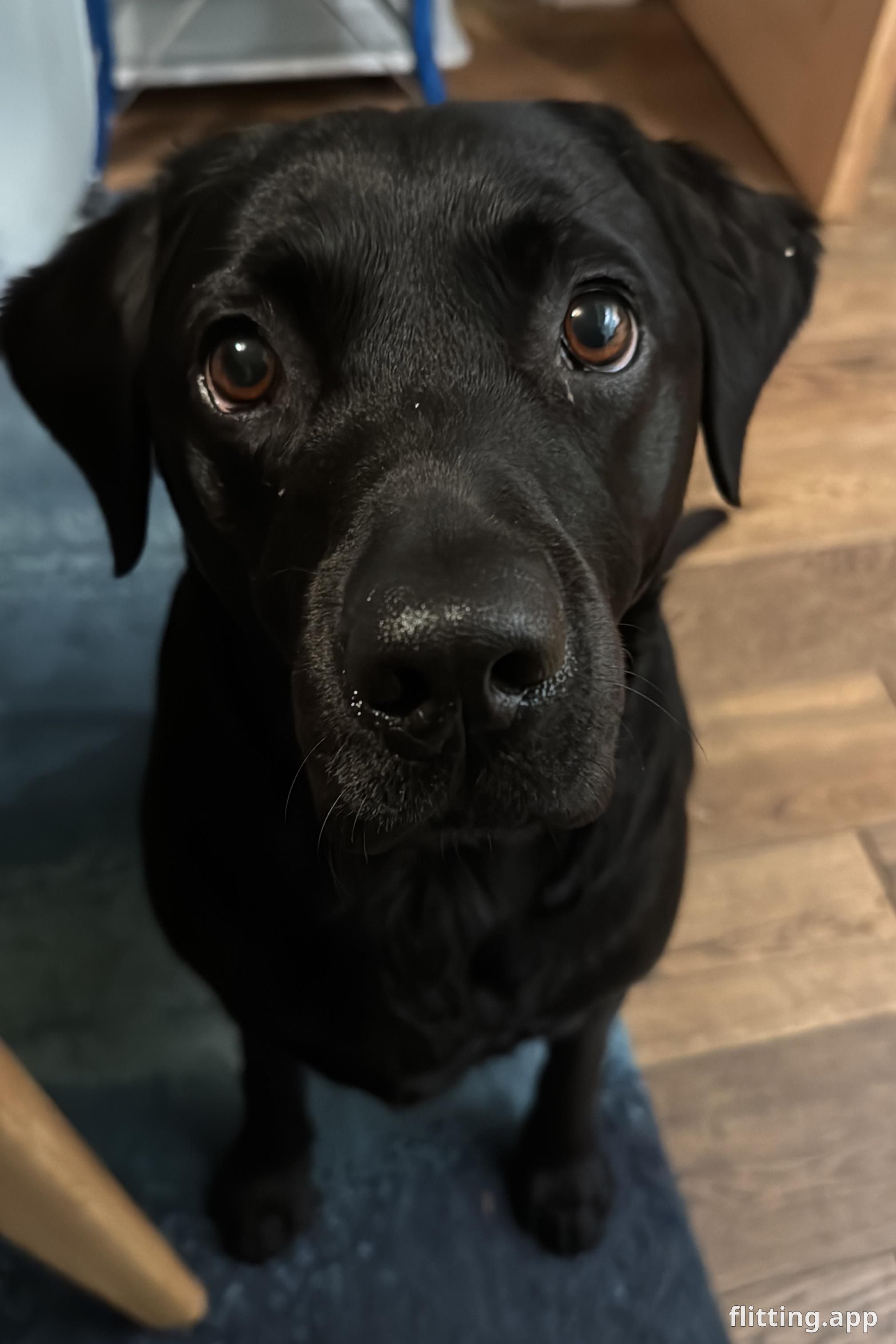 Someone is eyeing my food