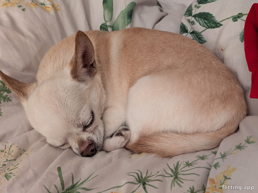 My little one is taking over my bed