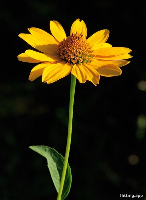 Trump's team is telling him to stop blaming Biden