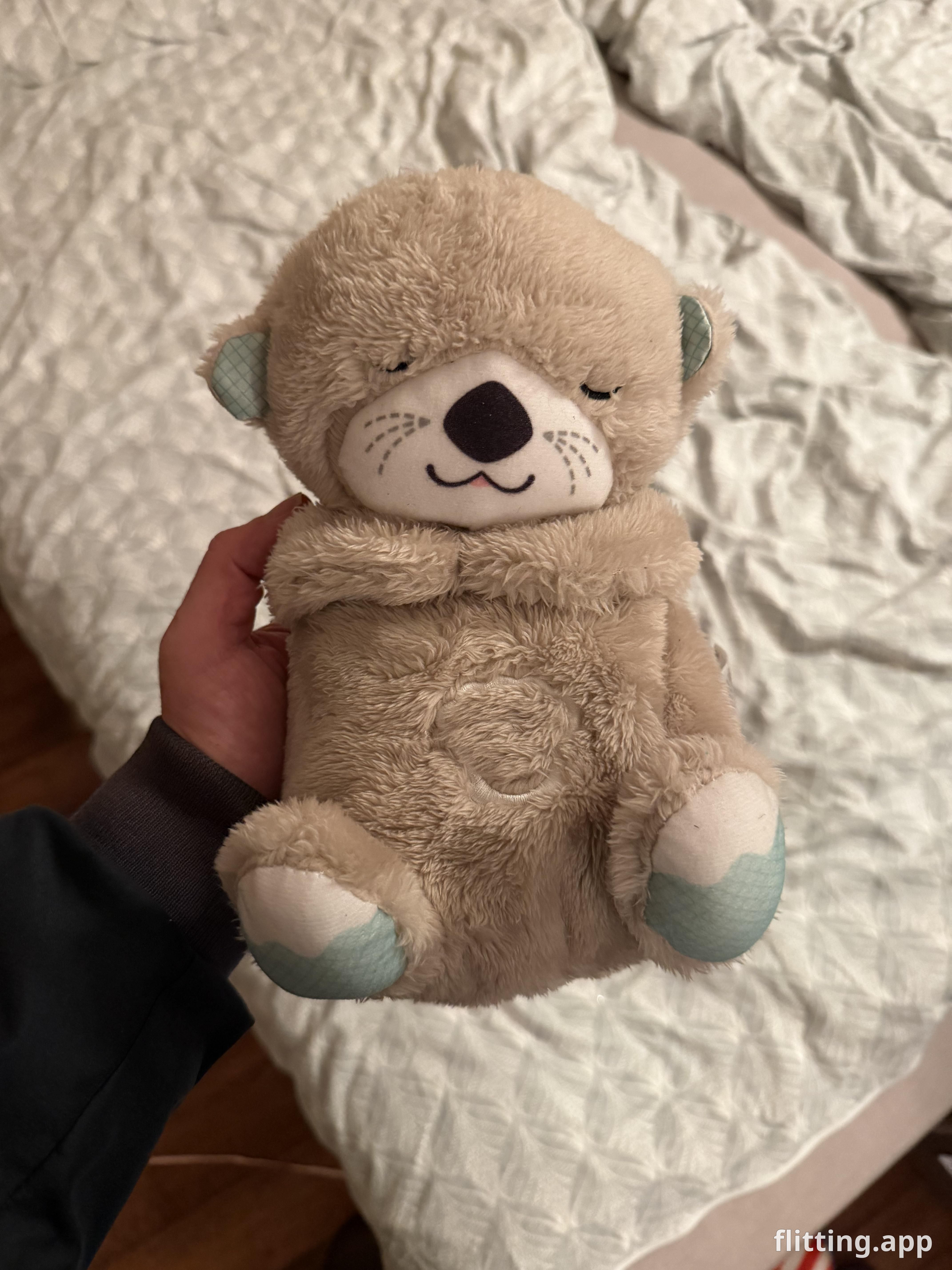 Sleeping like an otter