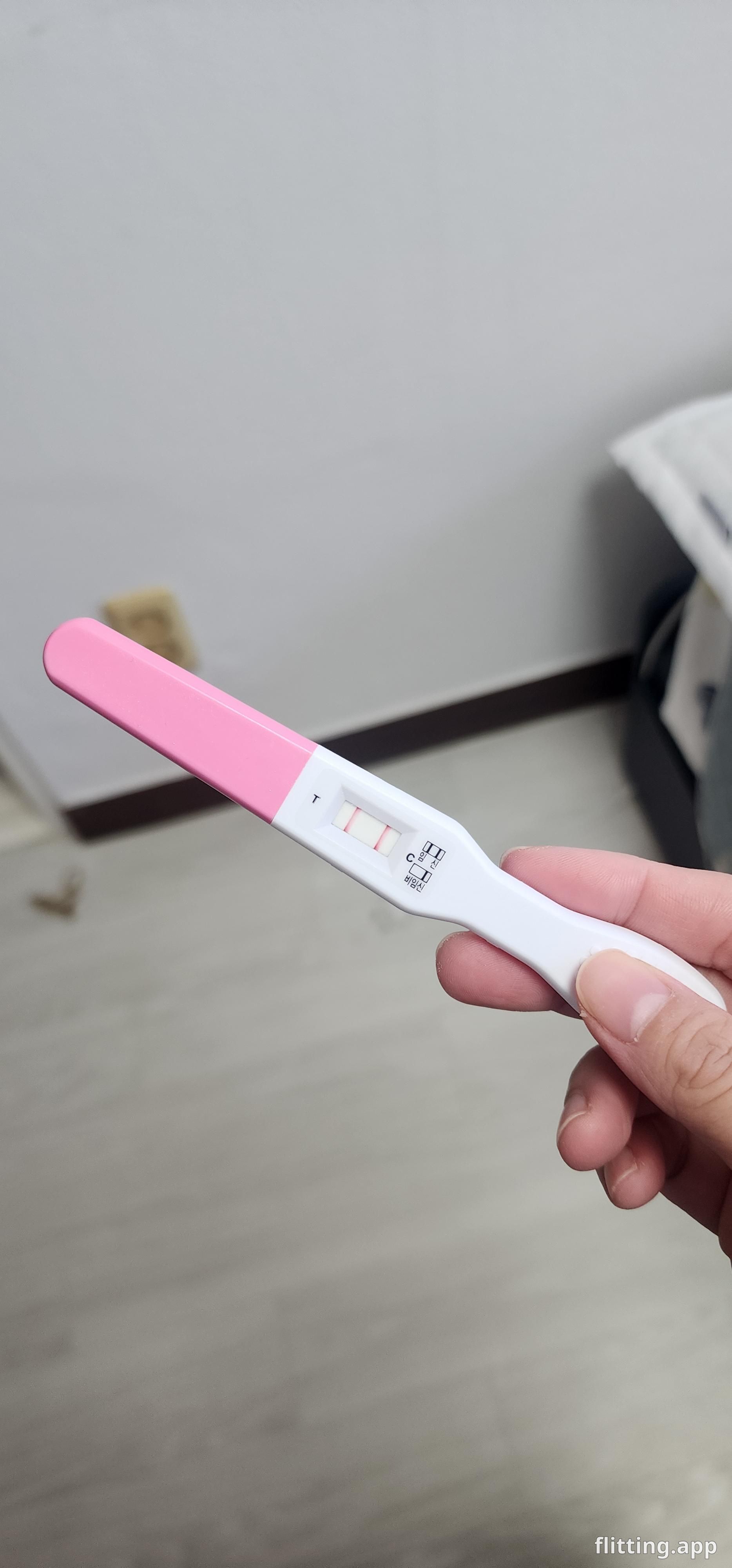 Just became a first-time Kong mom