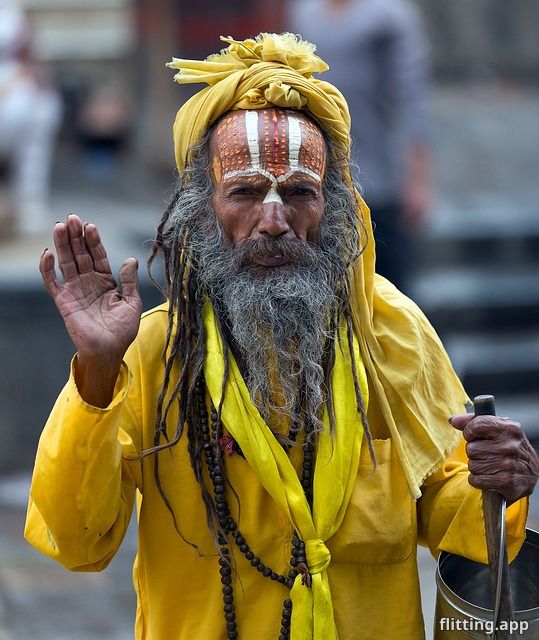 नेपाल प्रीमियर लीग में एलिमिनेटर मैच