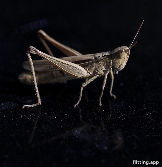 "अफ्रीकी क्रिकेट में बोलबाला है: 'क्रिकेट नेगरिको बनेगा'"

  "Burundi की आधिकारिक आईसीसी सदस्यता के साथ, एशिया के पहले टेस्ट क्रिकेटर भारतीय पूर्व कोच पाकिस्तानी संभालेंगे।