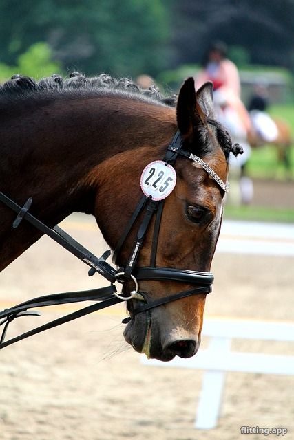 दिसंबर 12, 2025 को मेजर लीग टूर्नामेंट का मैच थ्रेड