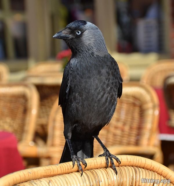 ਇਹ ਗੀਤਾਂ ਦੀਆਂ ਸਮਾਨ ਰਿਕਾਰਡ ਲੱਭੋ