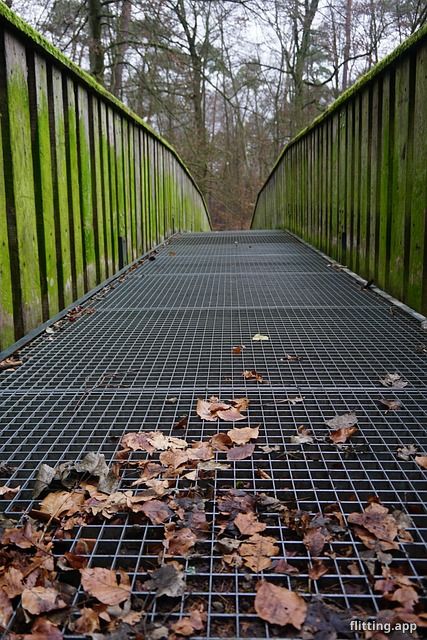 "माळी सायबीएमएससह कॉलेज बदलण्यासाठी मदत म्हणून शोधा!"